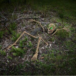 Spirit Halloween- Cracked Skull Zombie Groundbreaker